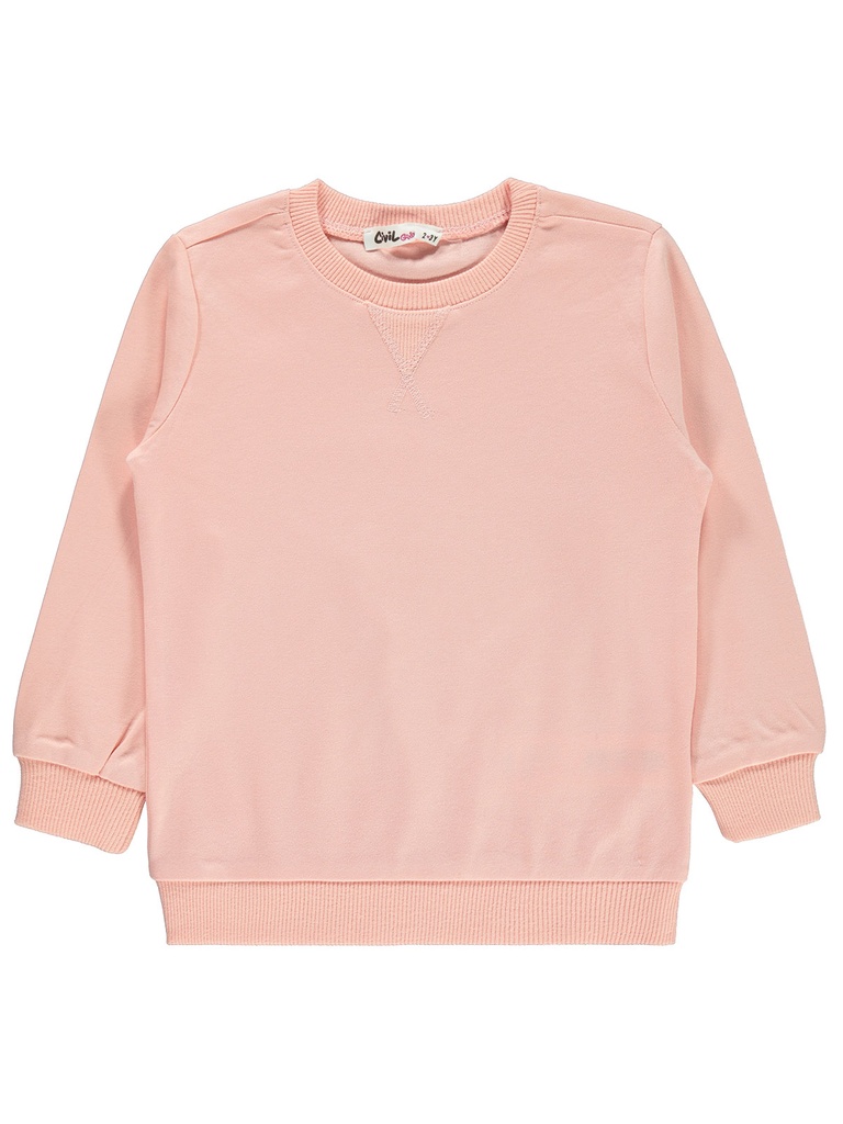 Powder Pink Sweatshirt