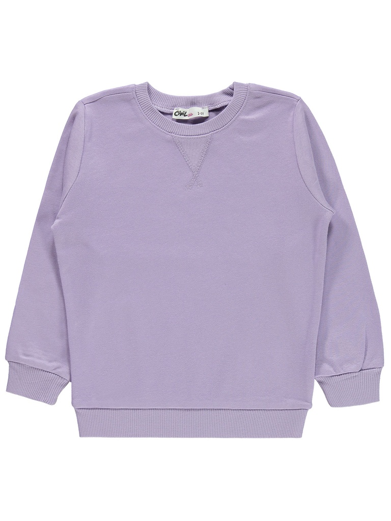 Purple Pink Sweatshirt