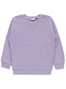 Purple Pink Sweatshirt