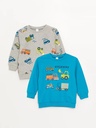 Pack of 2 Cotton Sweatshirts