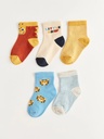 Pack of 5 pairs of socks