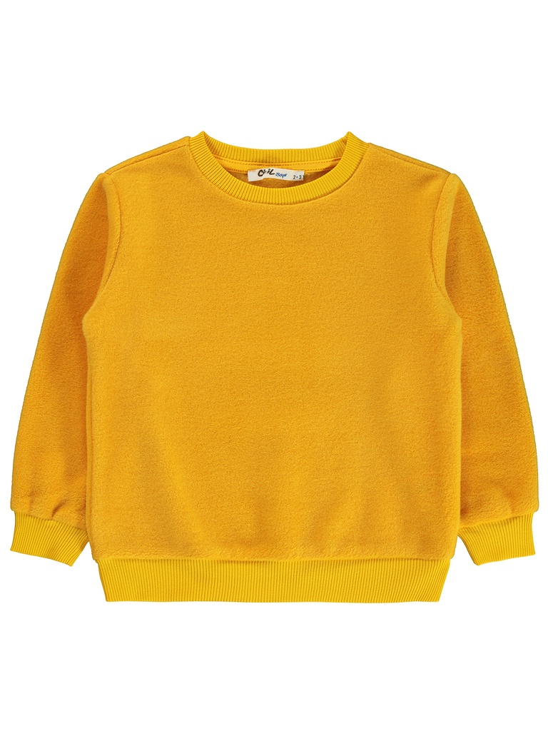 Mustard Fleece Sweatshirt (2-3 years)
