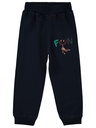 Fun Navy Blue Sweatpants