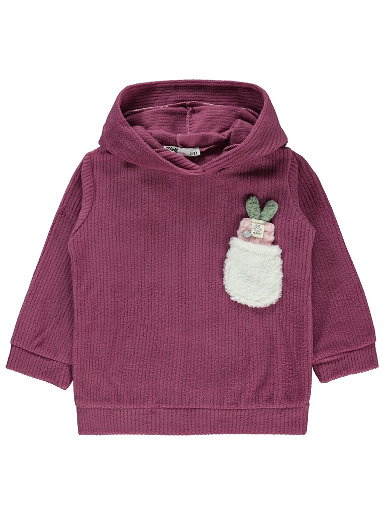 Polar Fleece Plum Color Hoodie