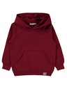 Burgundy Thick Cotton Hoodie (2-5 years)     (4-5 years)
