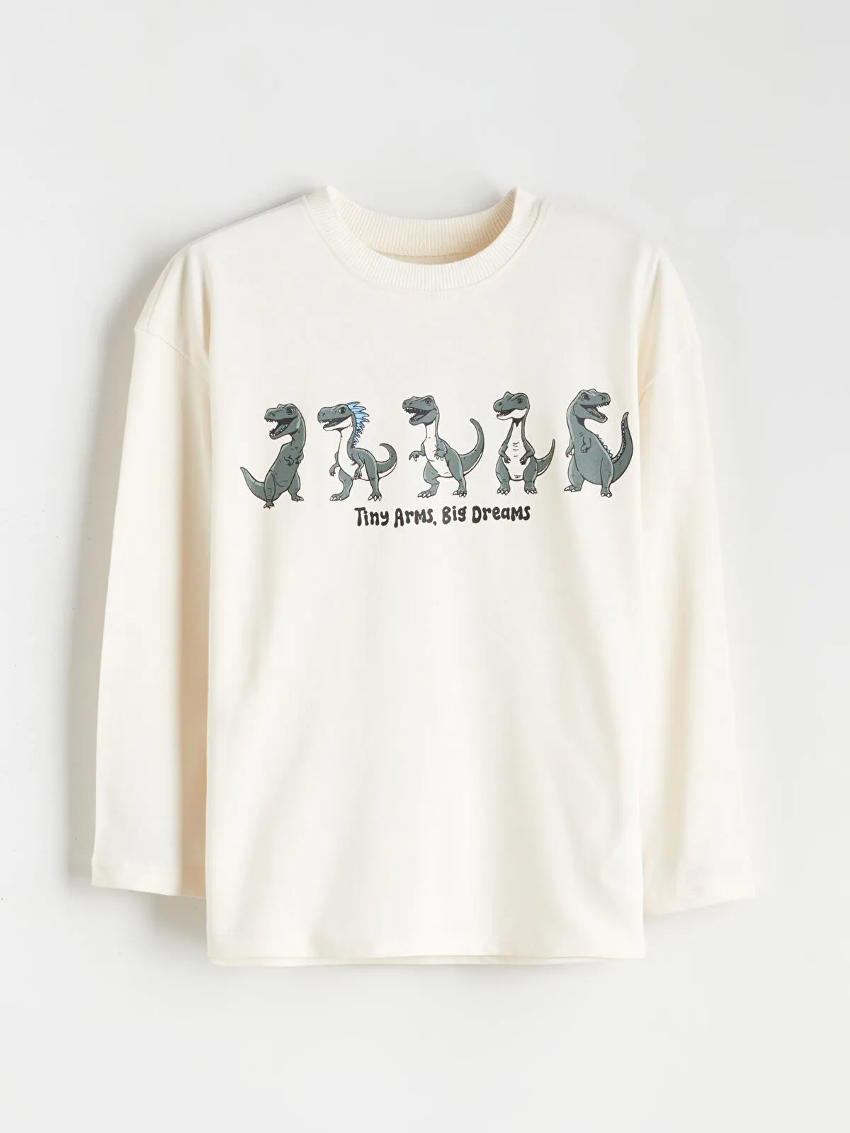 Beige Crew Neck Dinosaur Print Boys' long sleeve Shirt