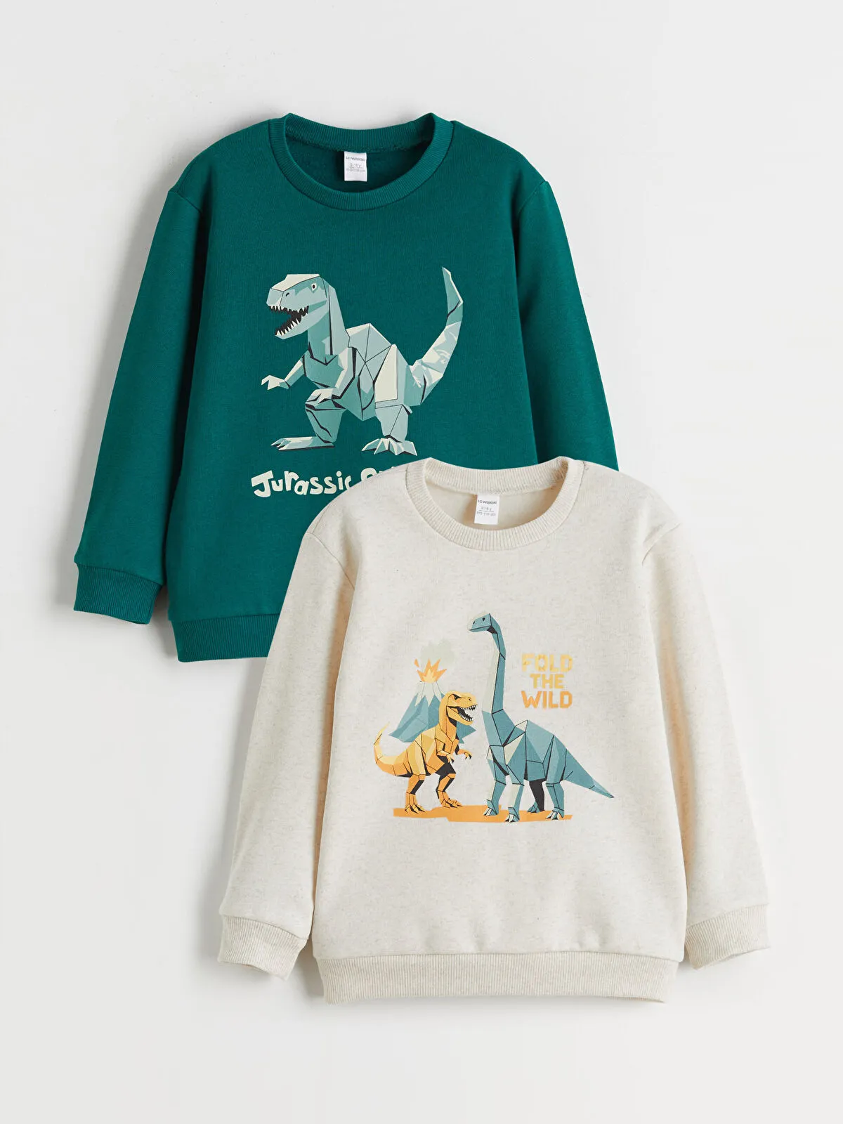 Fleece inside- Green Dinosaur Print Boys' Sweatshirt (Pack of 2)