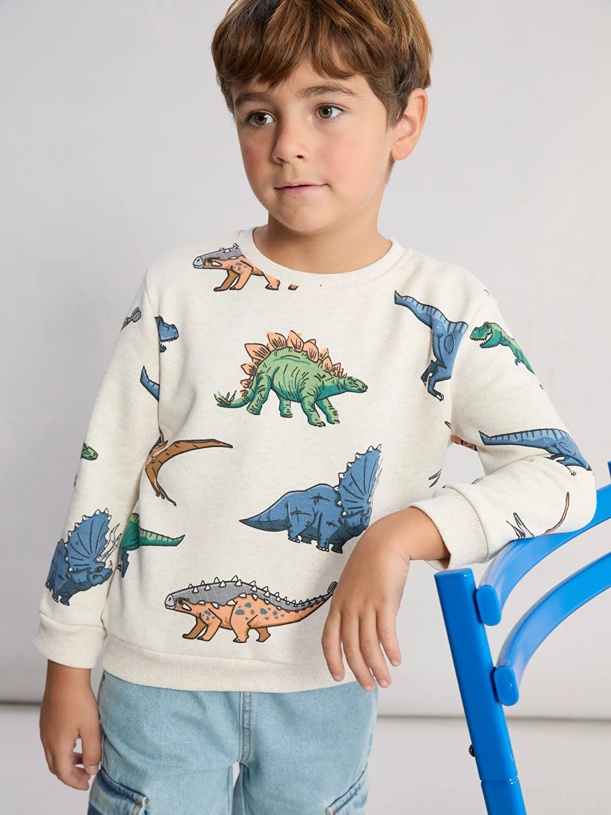 Boys' Dinosaur Print Thick Sweatshirt- FLEECE INSIDE