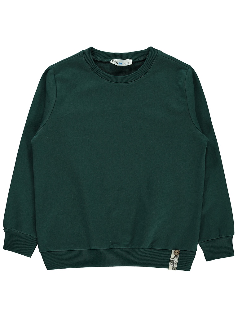 Pine Green Sweatshirt (6 to 10 years)