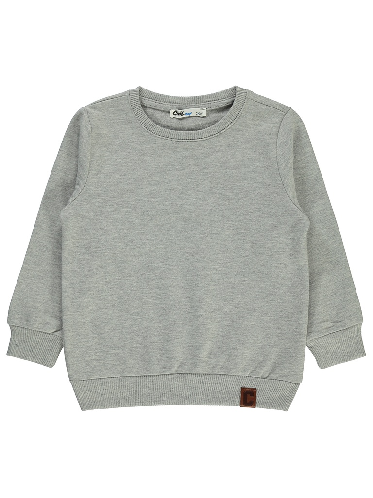 Grey Sweatshirt