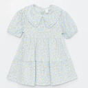 Blue Daisies Dress