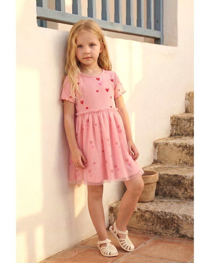 Pink Hearts Tutu Dress 
