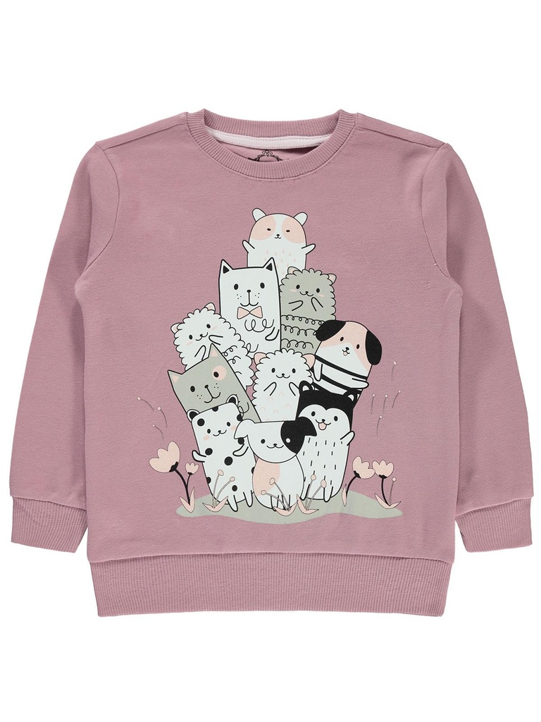 Cats sweatshirt - Sovereign Purple Color