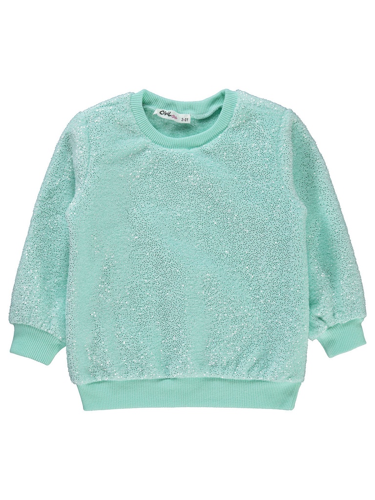 Light Green sweatshirt