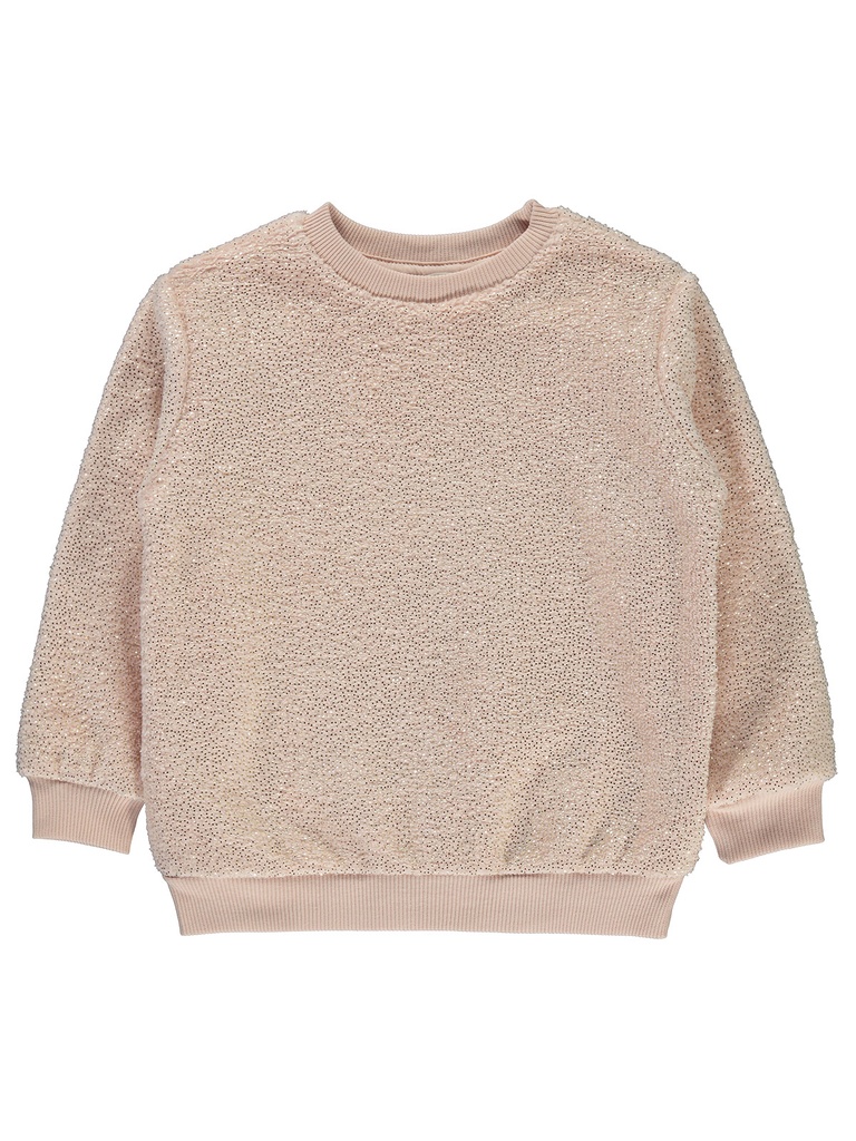 Salmon Thick Sweatshirt