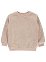 Salmon Thick Sweatshirt