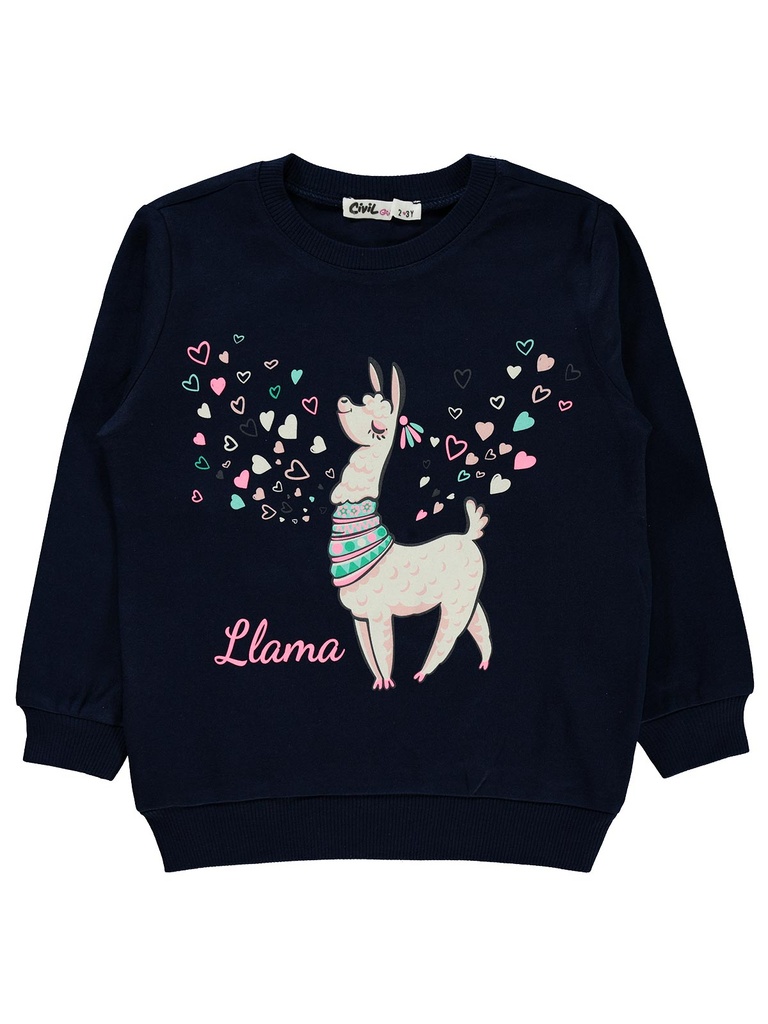 Navy Blue Llama Sweatshirt