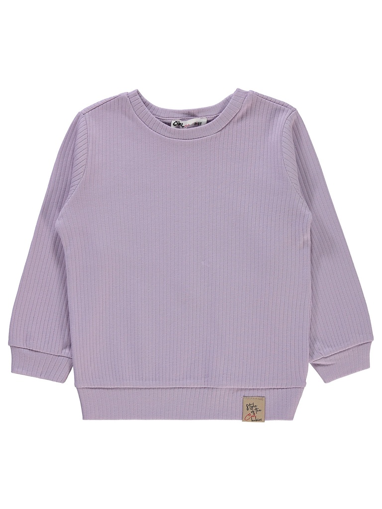 Light Purple Sweatshirt
